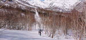 蓮華温泉　山スキー