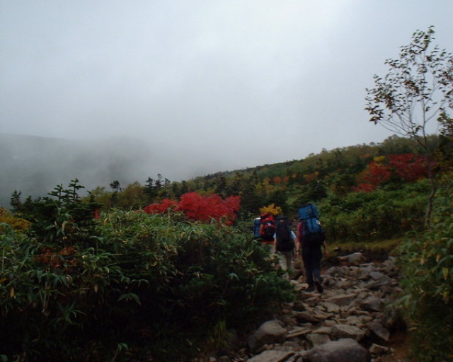 hakubap0001.jpg