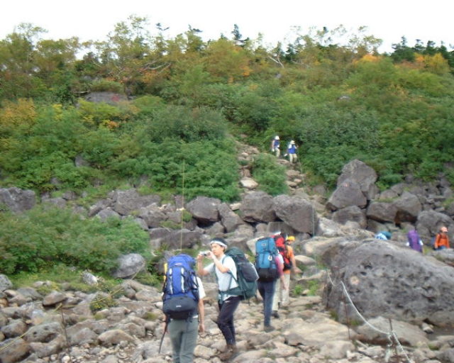 hakubap0003.jpg