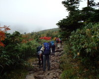 hakubap0000.jpg