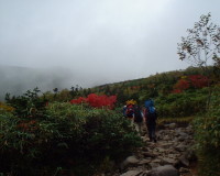 hakubap0001.jpg
