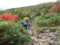hakubap0002.jpg