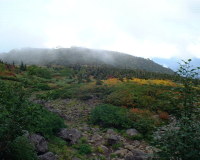 hakubap0005.jpg