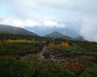 hakubap0006.jpg