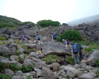 hakubap0010.jpg