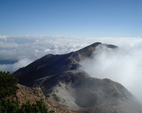 hakubap0024.jpg