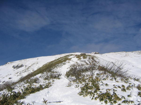 tanigawap0003.jpg