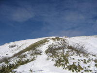 tanigawap0003.jpg