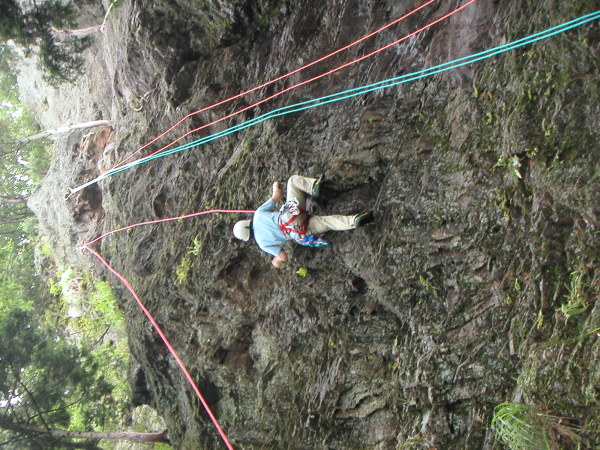 kogashiyamap0006.jpg
