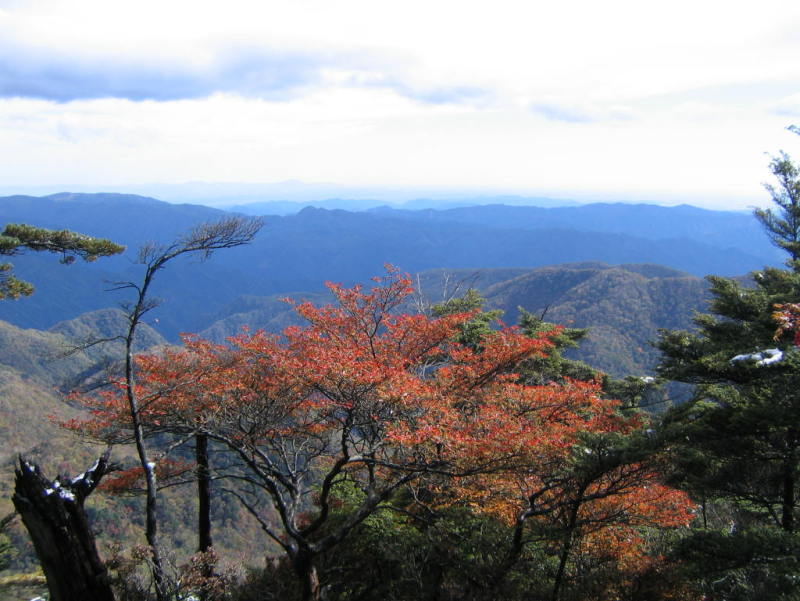 koushin_sanp0011.jpg