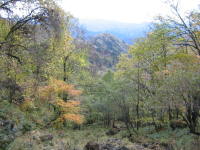 koushin_sanp0007.jpg