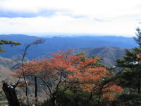 koushin_sanp0011.jpg