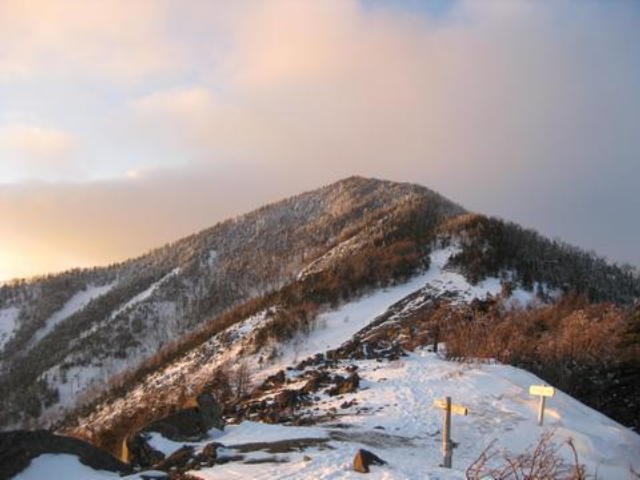 p0005.jpg