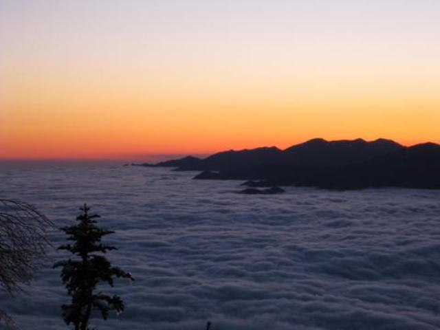 p0008.jpg