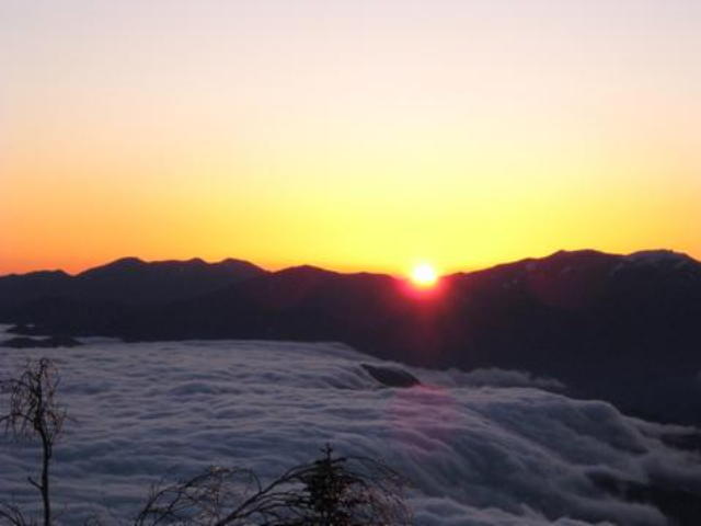 p0009.jpg