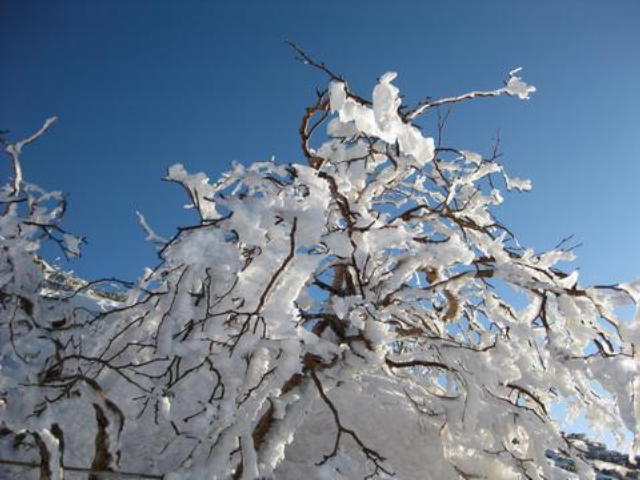 p0012.jpg