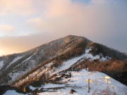 p0005.jpg