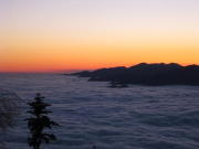 p0008.jpg