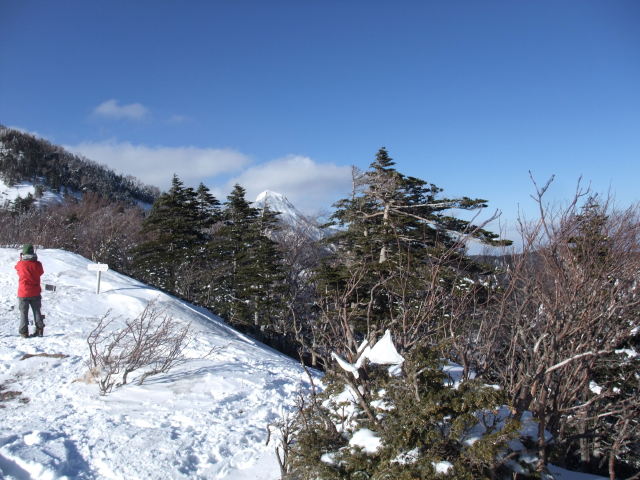 p0004.jpg