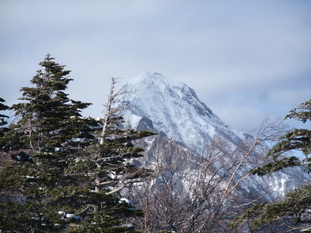 p0005.jpg