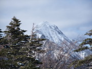 p0005.jpg