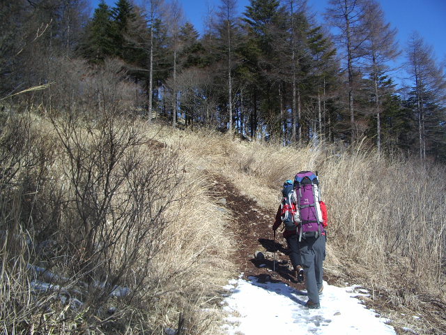 p0003.jpg