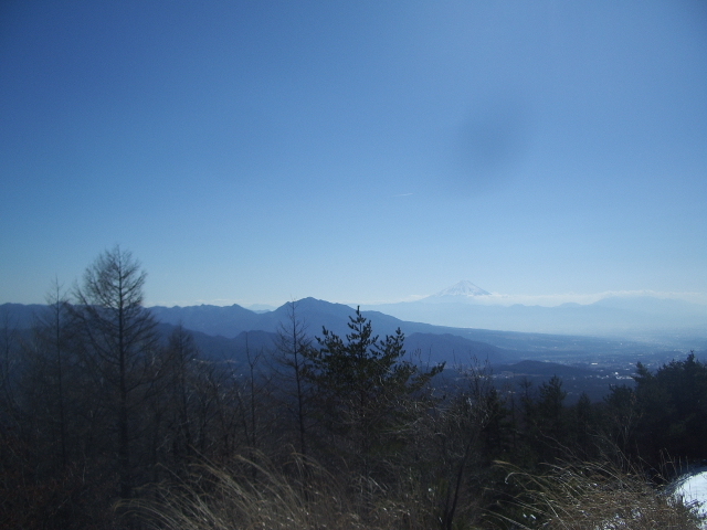 p0005.jpg