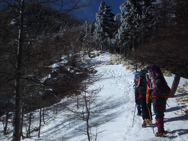p0012.jpg