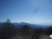 p0005.jpg