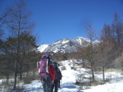 p0007.jpg