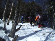 p0009.jpg
