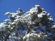 p0013.jpg