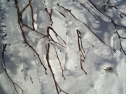 p0041.jpg