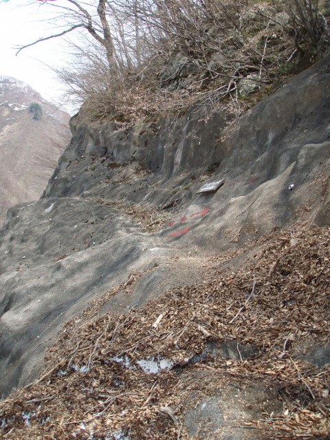 p0011.jpg