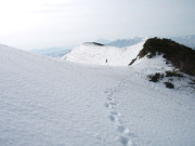 p0029.jpg