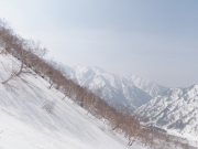 p0014.jpg