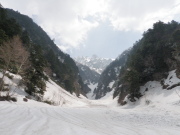 p0016.jpg