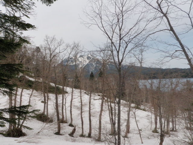 p0002.jpg