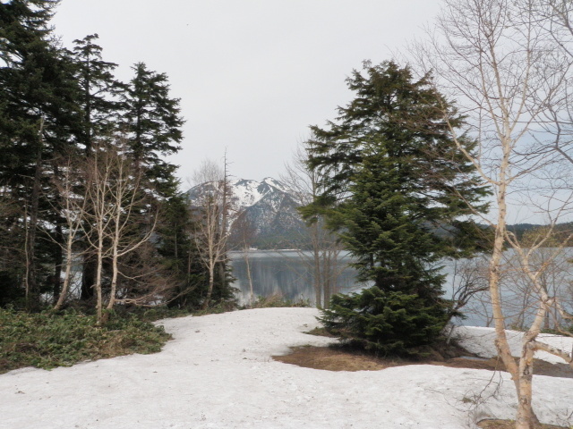 p0004.jpg