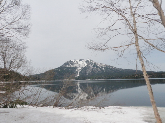 p0005.jpg