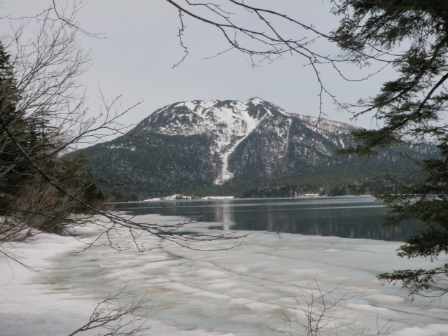p0007.jpg