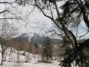 p0003.jpg