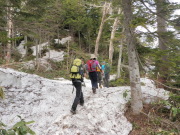 p0009.jpg