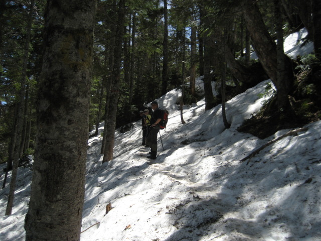 p0005.jpg