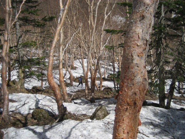 p0036.jpg