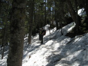 p0005.jpg