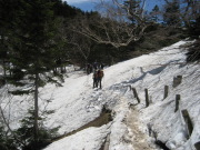 p0006.jpg