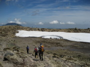 p0029.jpg