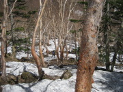 p0036.jpg