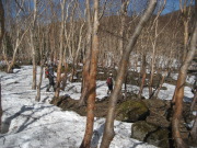 p0037.jpg